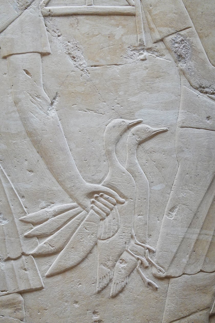  av Egyptian Egyptian