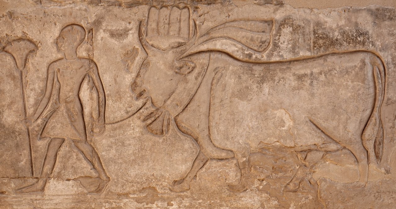  av Egyptian Egyptian