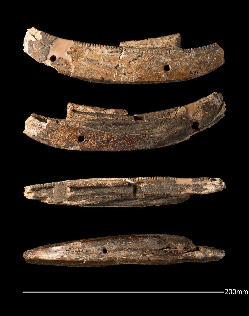 Modellbåt, Hierakonpolis, tidlig dynastisk periode (ca. 2950 - ca. 2575 f.Kr.) (utskåret elfenben) av Egyptian Egyptian