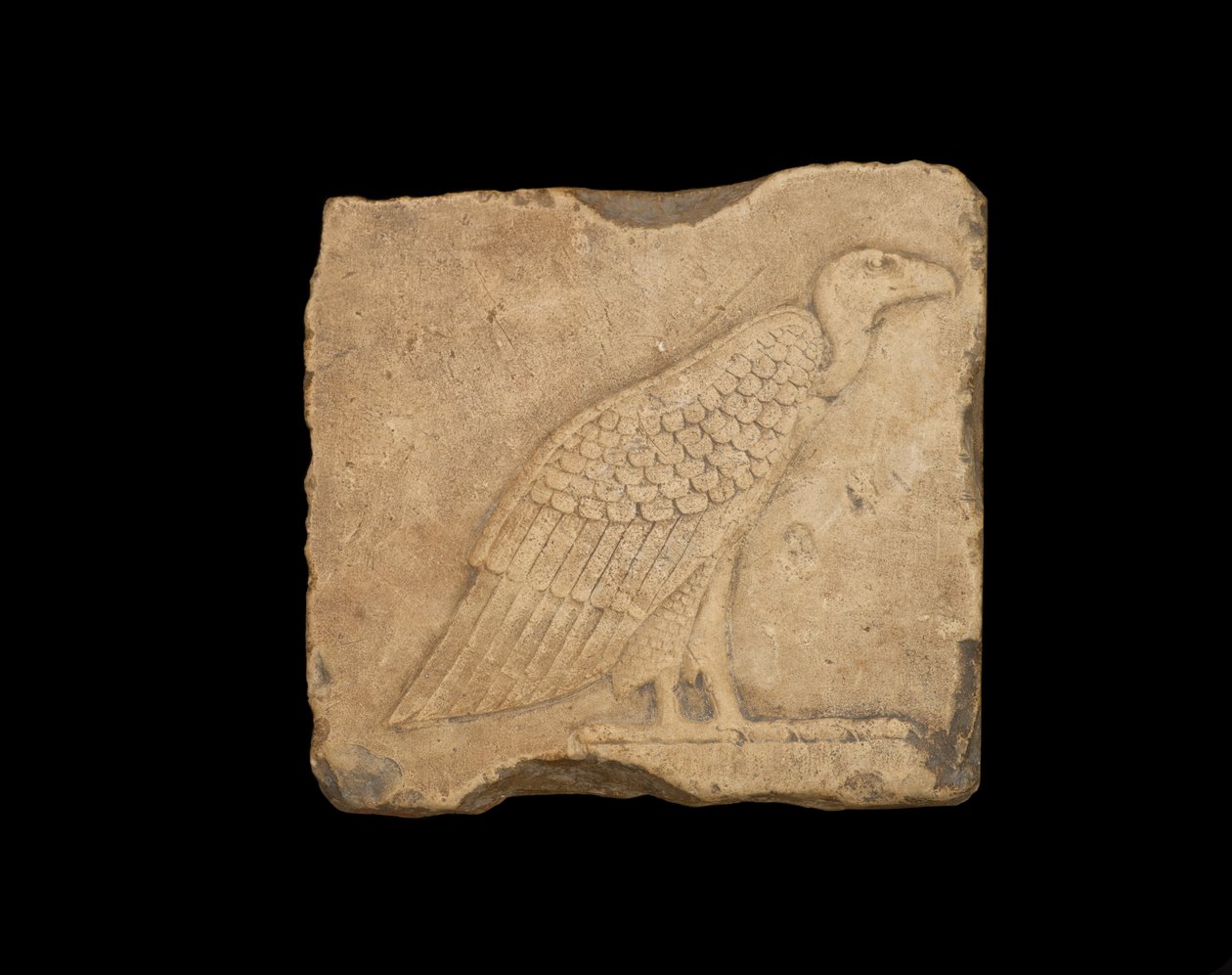En blokk med en stående gribb på det ene ansiktet, og en ugle på det andre ansiktet, begge i lavrelieff, ptolemaisk periode, 305-30 f.Kr. (kalkstein) av Egyptian Ptolemaic Period