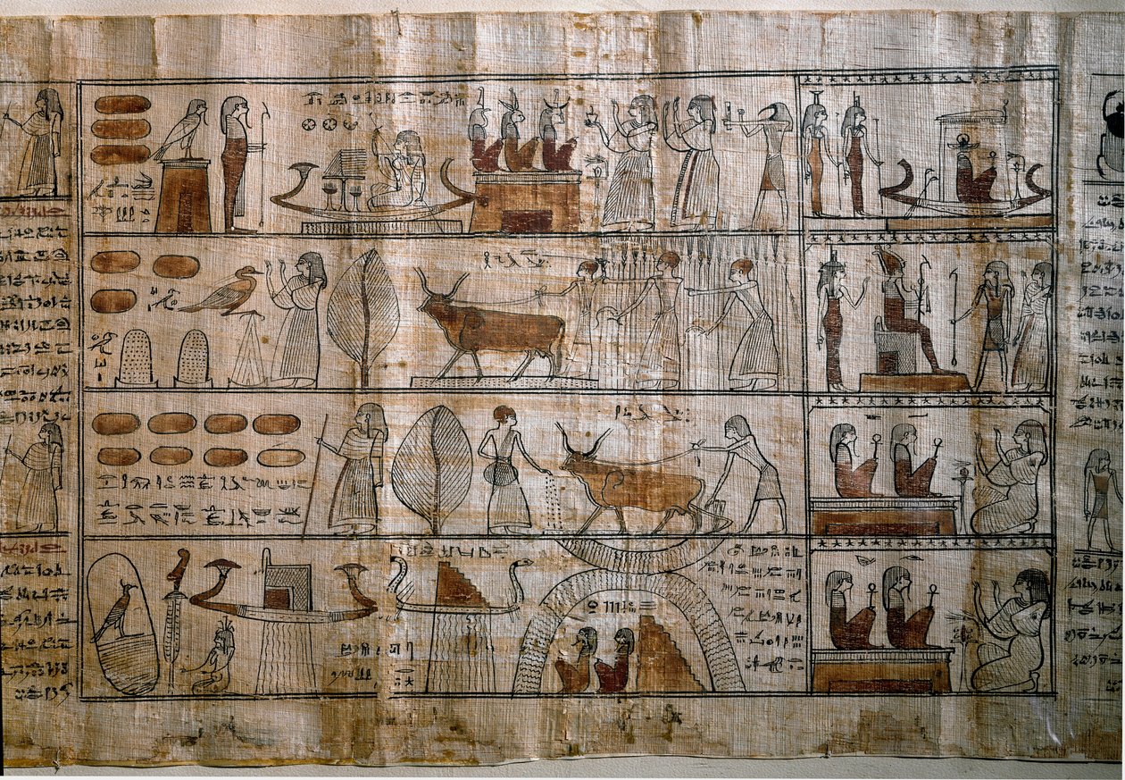 Egyptisk antikvitet: Elysee-markene. Papyrus av en dødebok. Ptolemaisk periode. Torino, egyptisk museum av Egyptian Ptolemaic Period