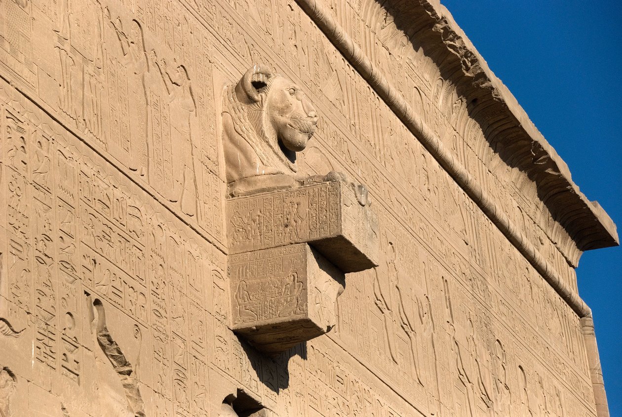 Egyptisk antikk: løvehodegargoyle, Hathor-tempelet, Dendera, Egypt av Egyptian Ptolemaic Period