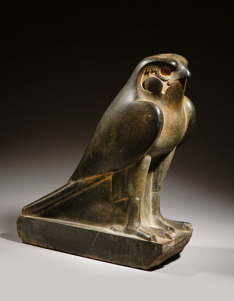 Falk av Egyptian Ptolemaic Period