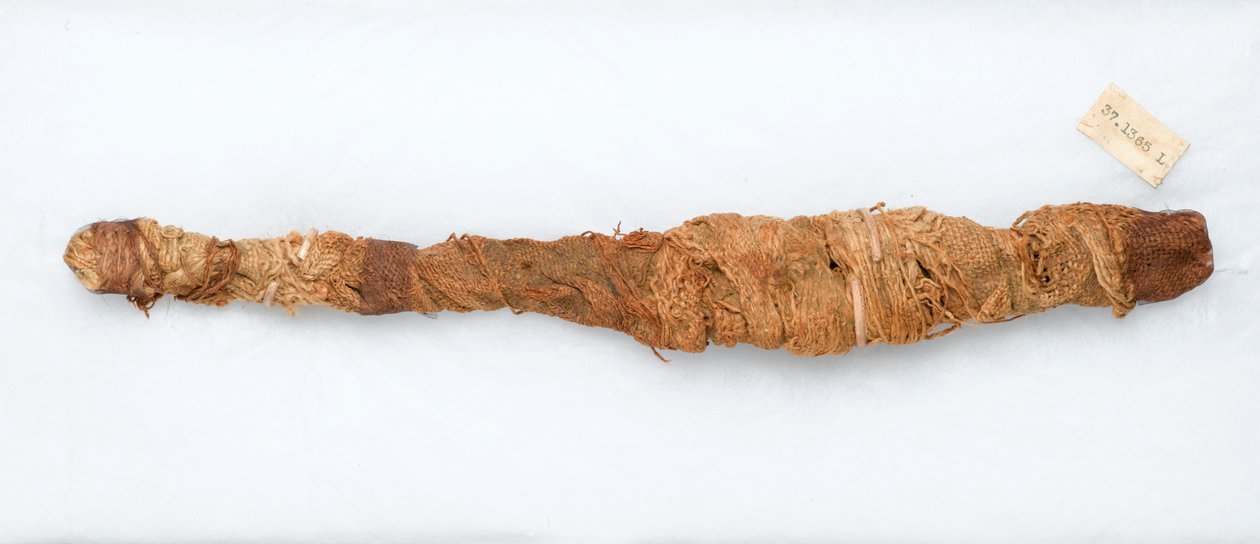 Mummi av en krokodille, funnet i Manfalont, 305-30 f.Kr. (dyrerester og lin) av Egyptian Ptolemaic Period