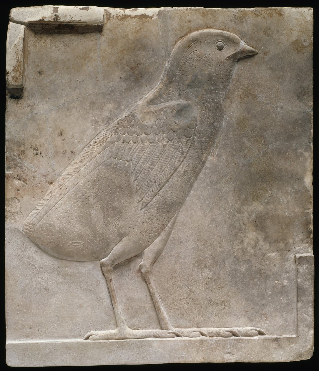 Relieffplakett som viser en kylling, ca. 330-305 f.Kr av Egyptian Ptolemaic Period