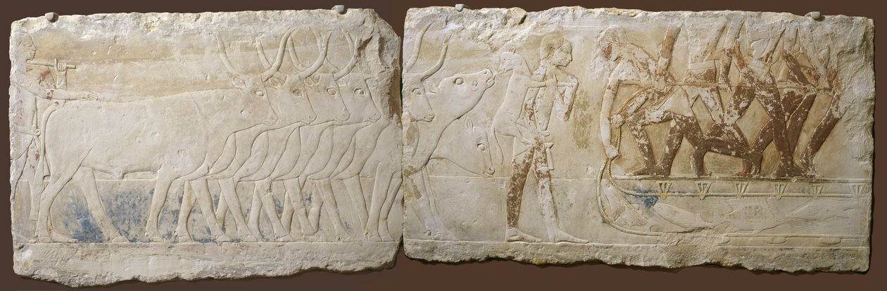 Relieff of Peasants Driving Cattle and Fishing, Old Kingdom, 2450-2290 BC (malt kalkstein) av Egyptian School