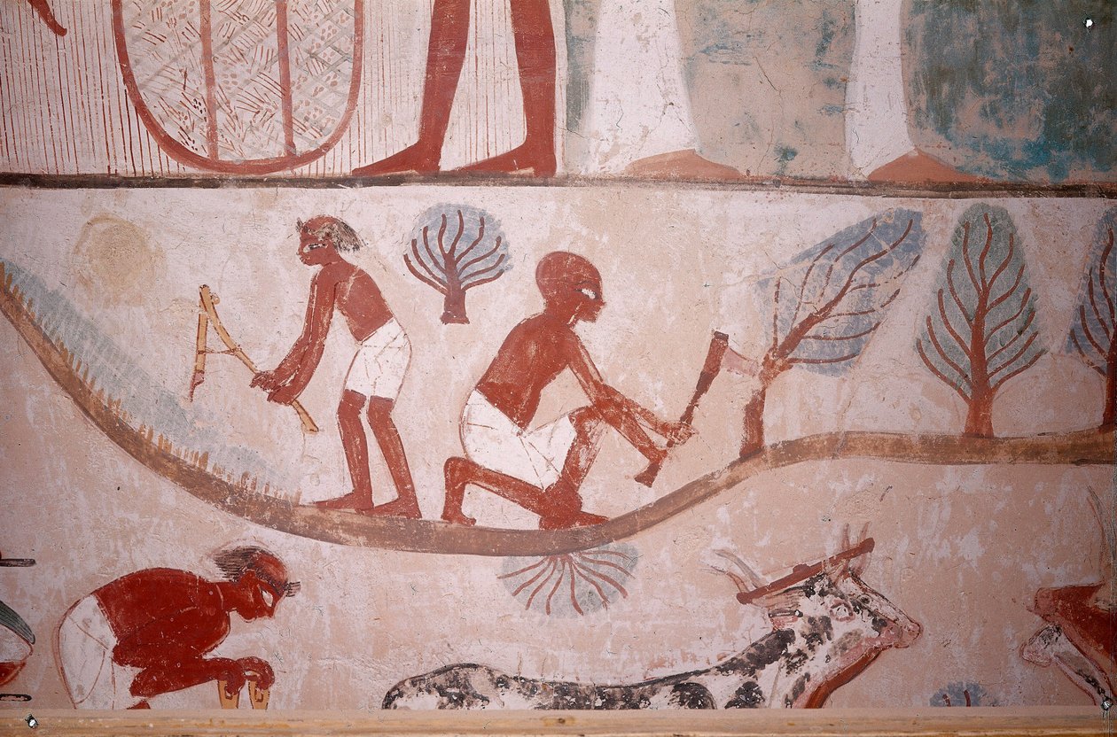  av Egyptian School