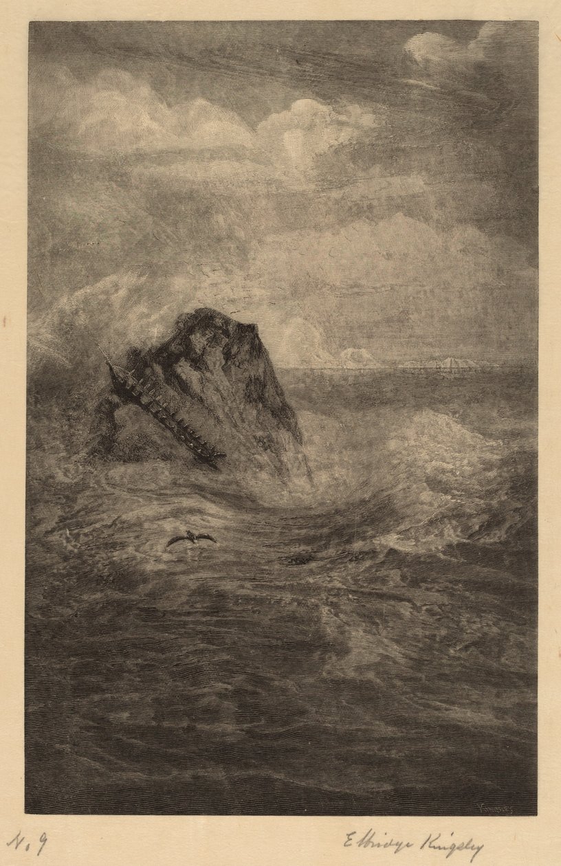 En stein i havet av Elbridge Kingsley