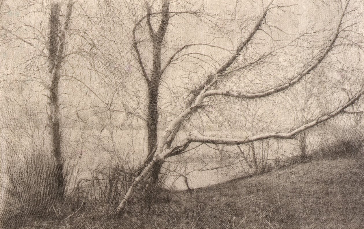  av Elbridge Kingsley