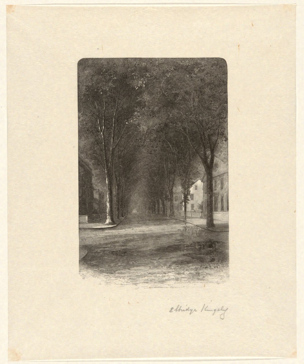 Uten tittel [Tre-lined Street] av Elbridge Kingsley