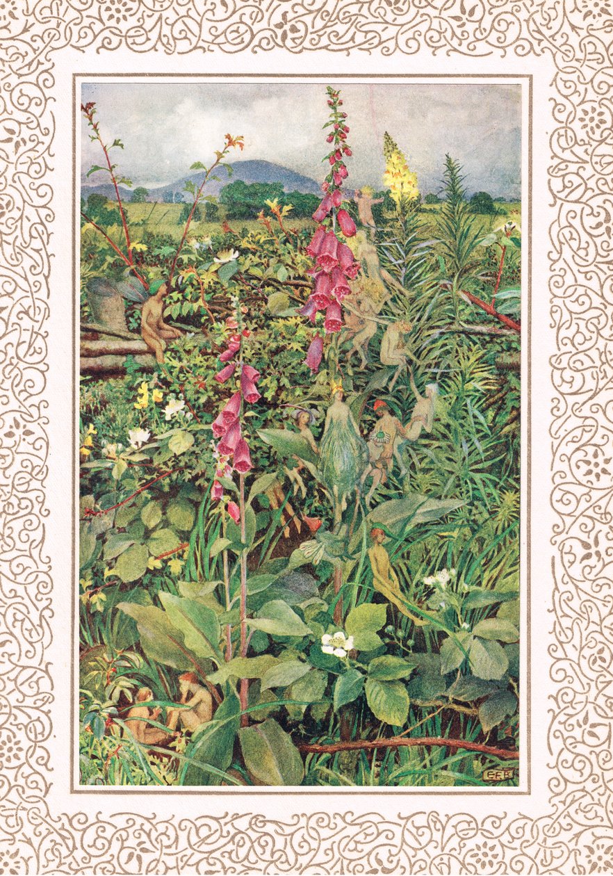 Naues Fairies among Foxgloves, illustrasjon fra 