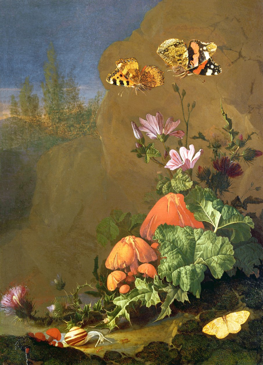 Stilleben av skoggulv med blomster, sopp og snegler av Elias van den Broeck