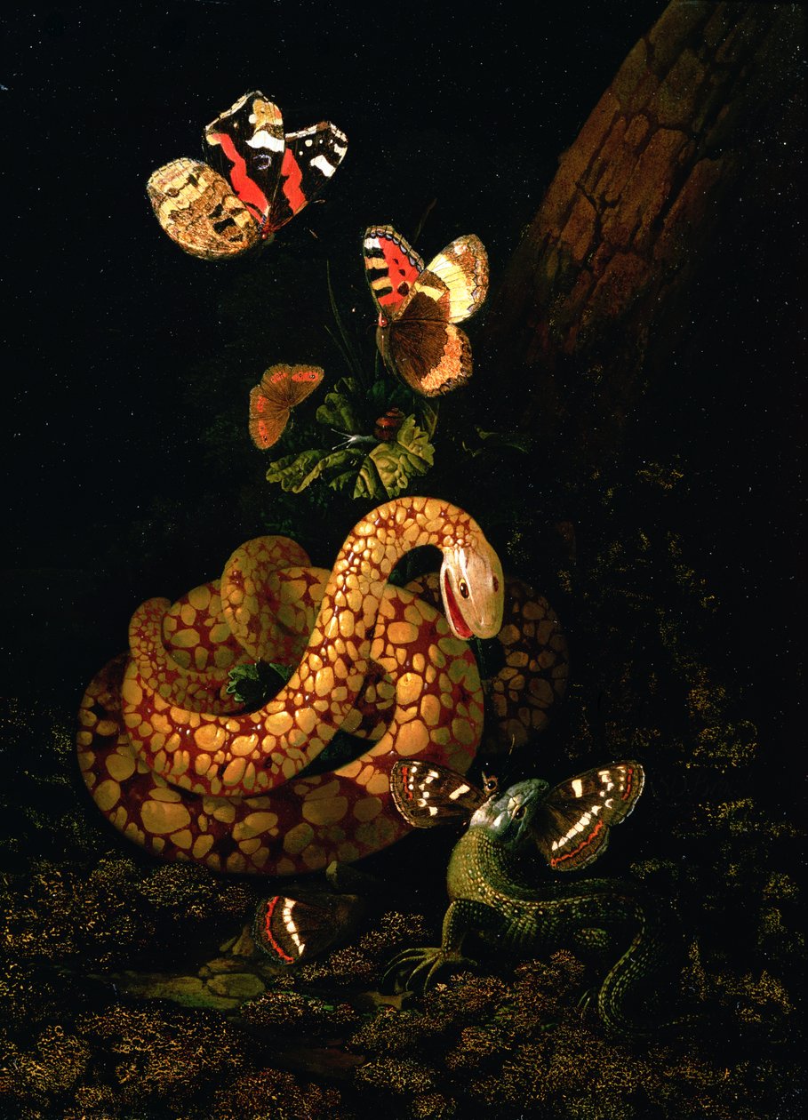 Stilleben med slange av Elias van den Broeck