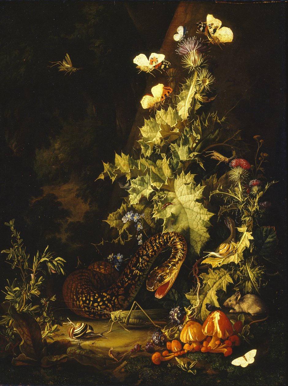 Stilleben med en slange av Elias van den Broeck