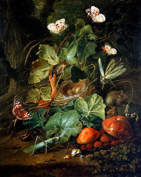 Et skoggulv stilleben med frukt og sommerfugler (olje på panel) av Elias van den Broeck