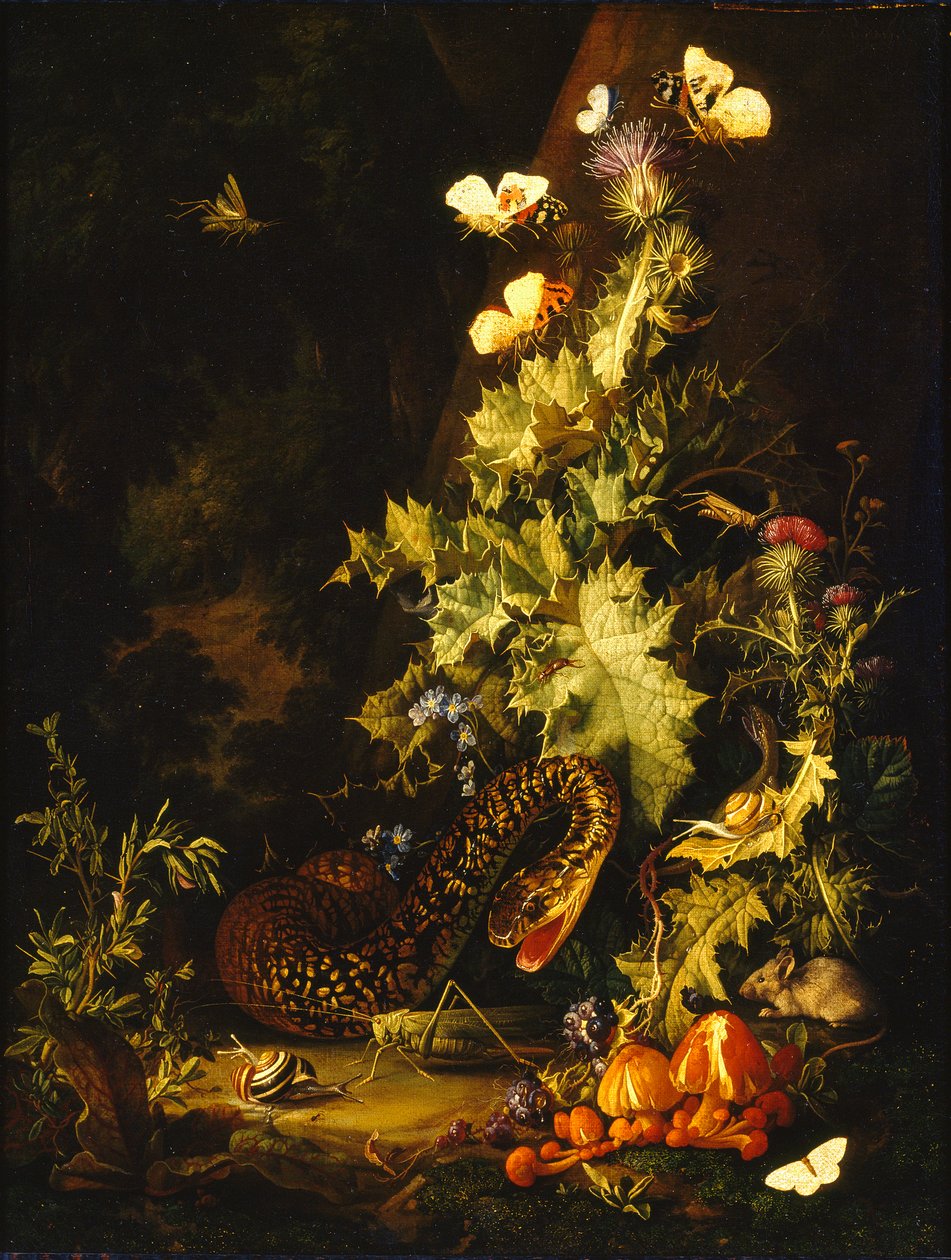 Stilleben med en slange, tidlig på 1700-tallet av Elias van den Broeck