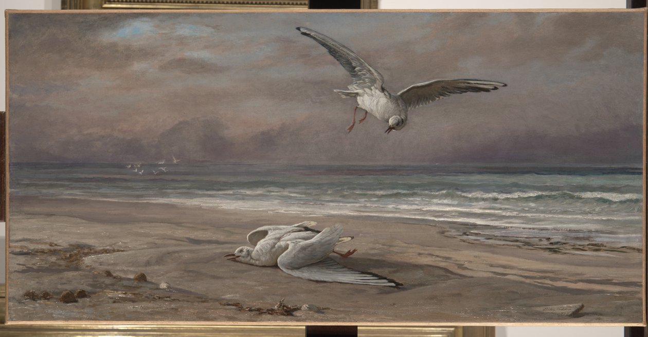 Den døende havmåken, 1879 av Elihu Vedder