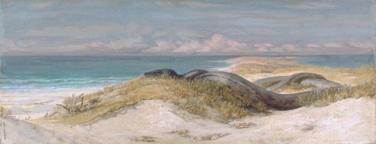 Sjøormens hi av Elihu Vedder