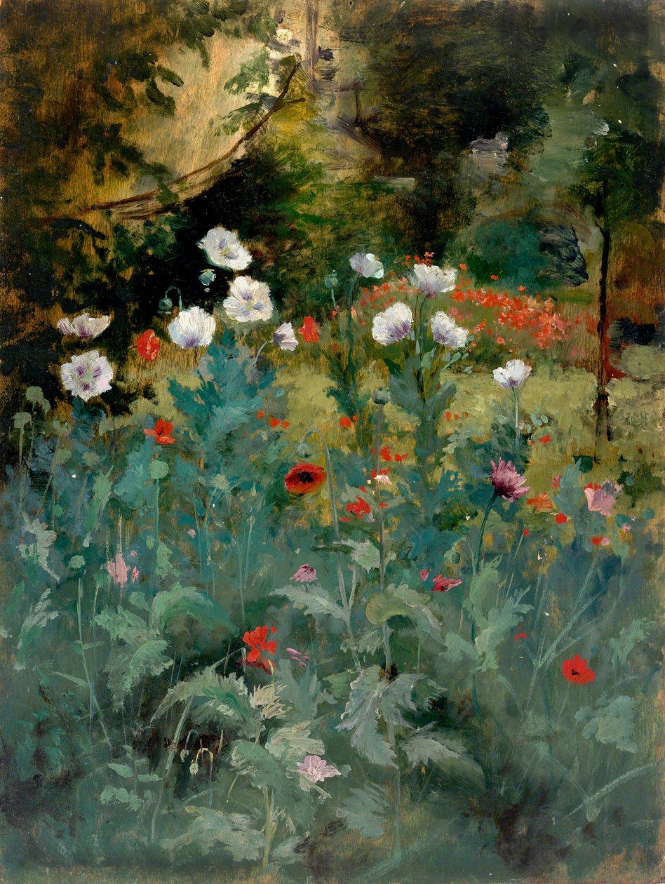 Valmuer, slutten av 1800-begynnelsen av 1900-tallet. av Eliphalet Frazer Andrews