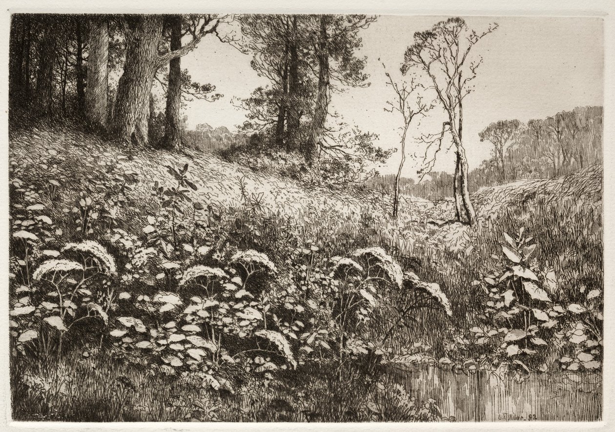 En sommerettermiddag, 1882. av Elis F. Miller