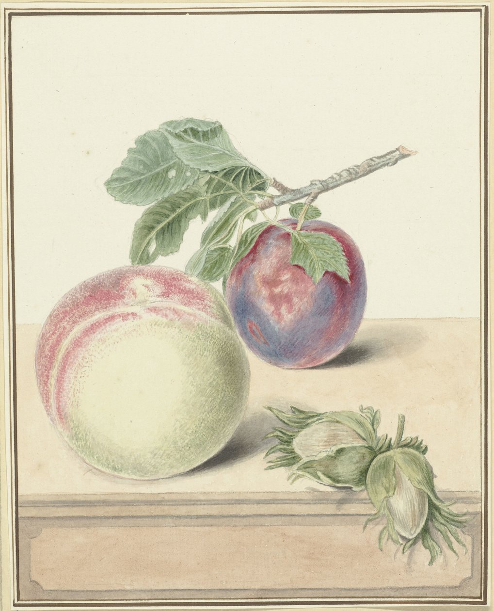 Fersken, en plomme med blad og noen nøtter av Elisabeth Geertruida van de Kasteele