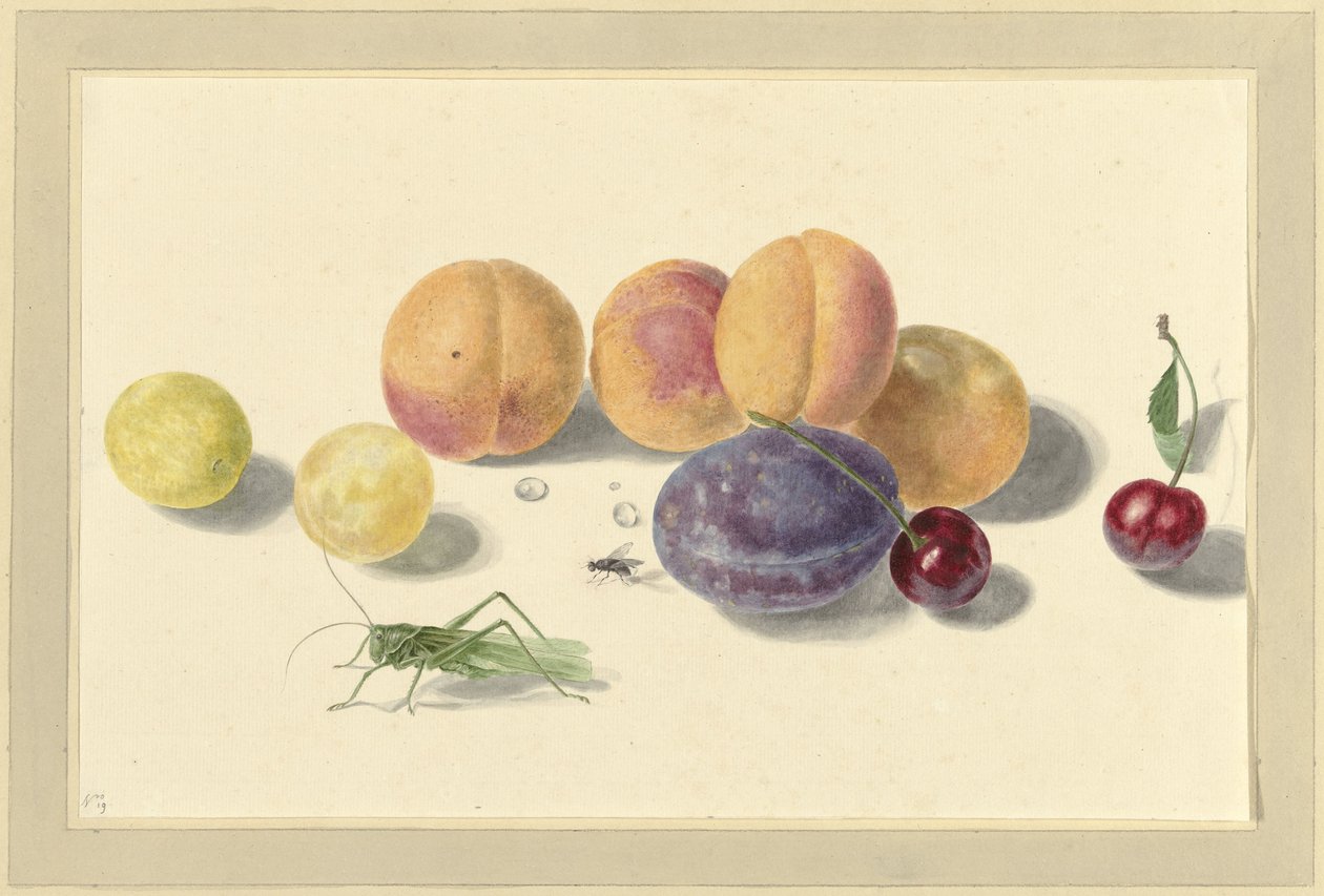Fersken, plommer, kirsebær og to insekter av Elisabeth Geertruida van de Kasteele