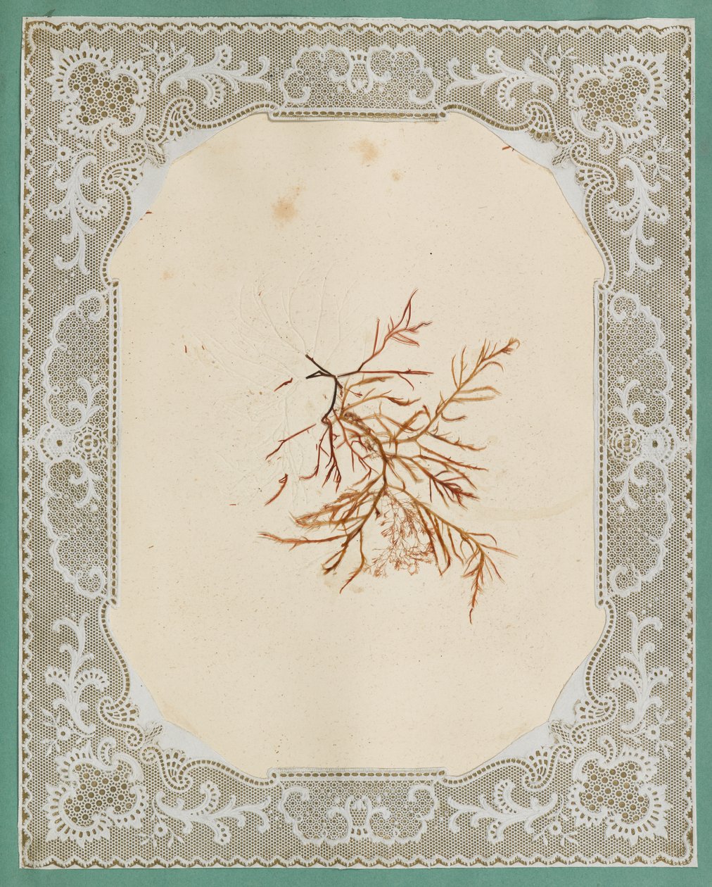 Tang av Eliza A. Jordson