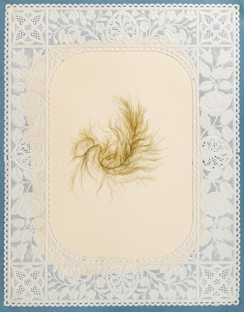 Tang av Eliza A. Jordson