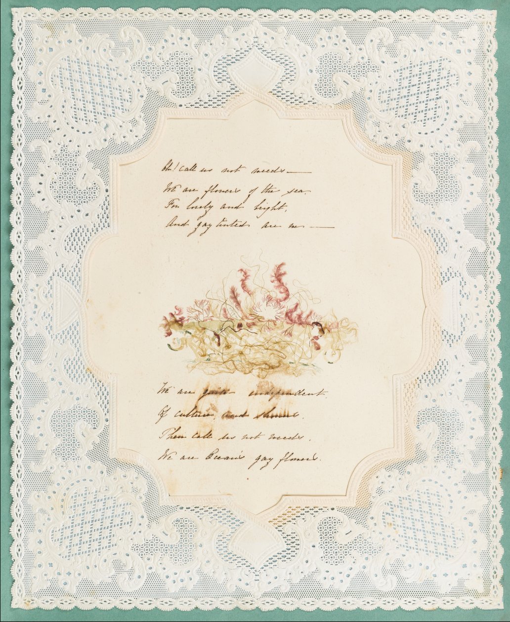 Tang av Eliza A. Jordson