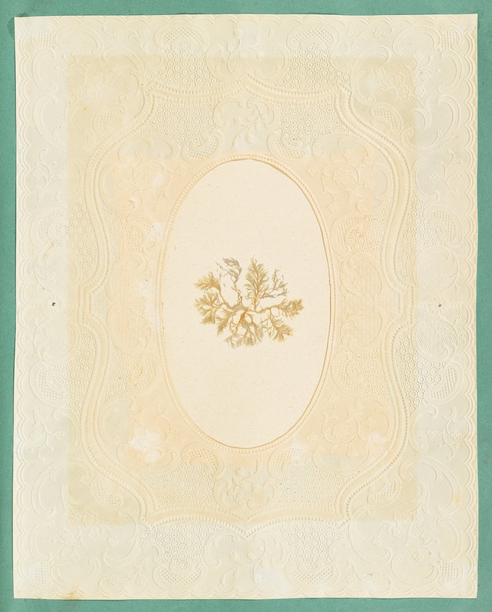 Tang av Eliza A. Jordson