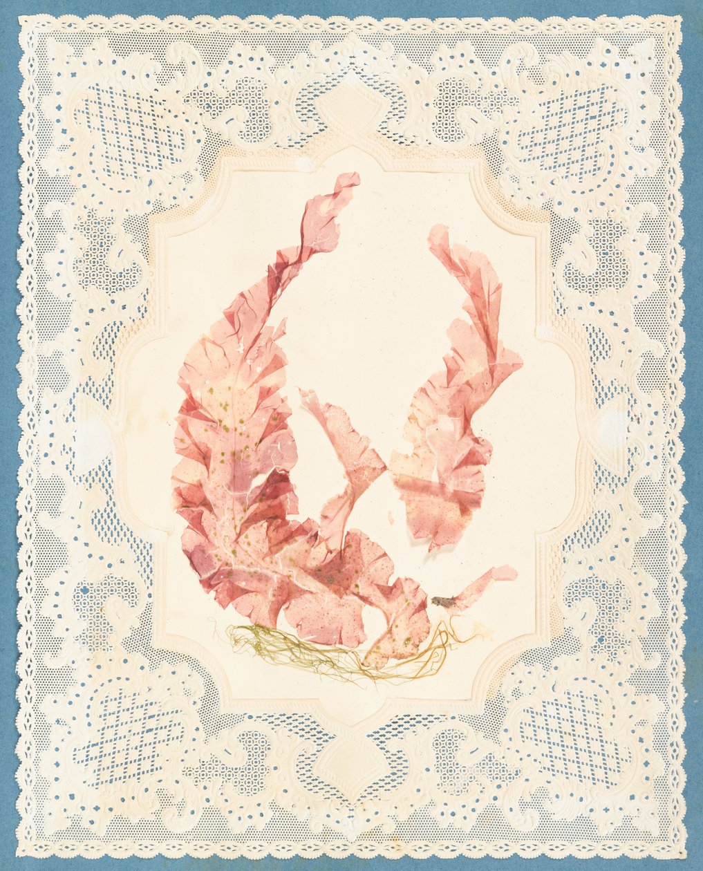 Tang av Eliza A. Jordson