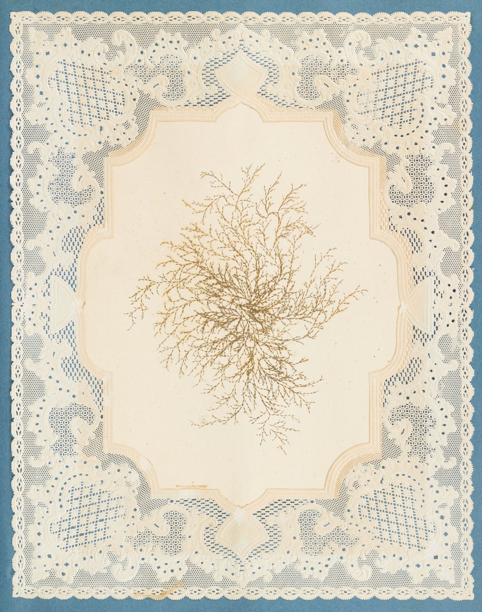 Tang av Eliza A. Jordson