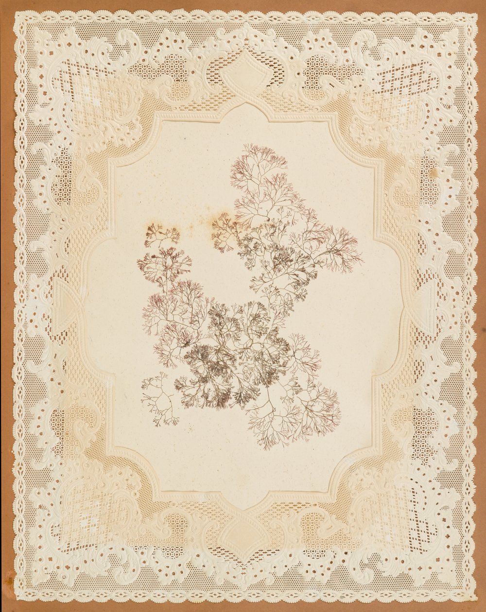 Tang av Eliza A. Jordson