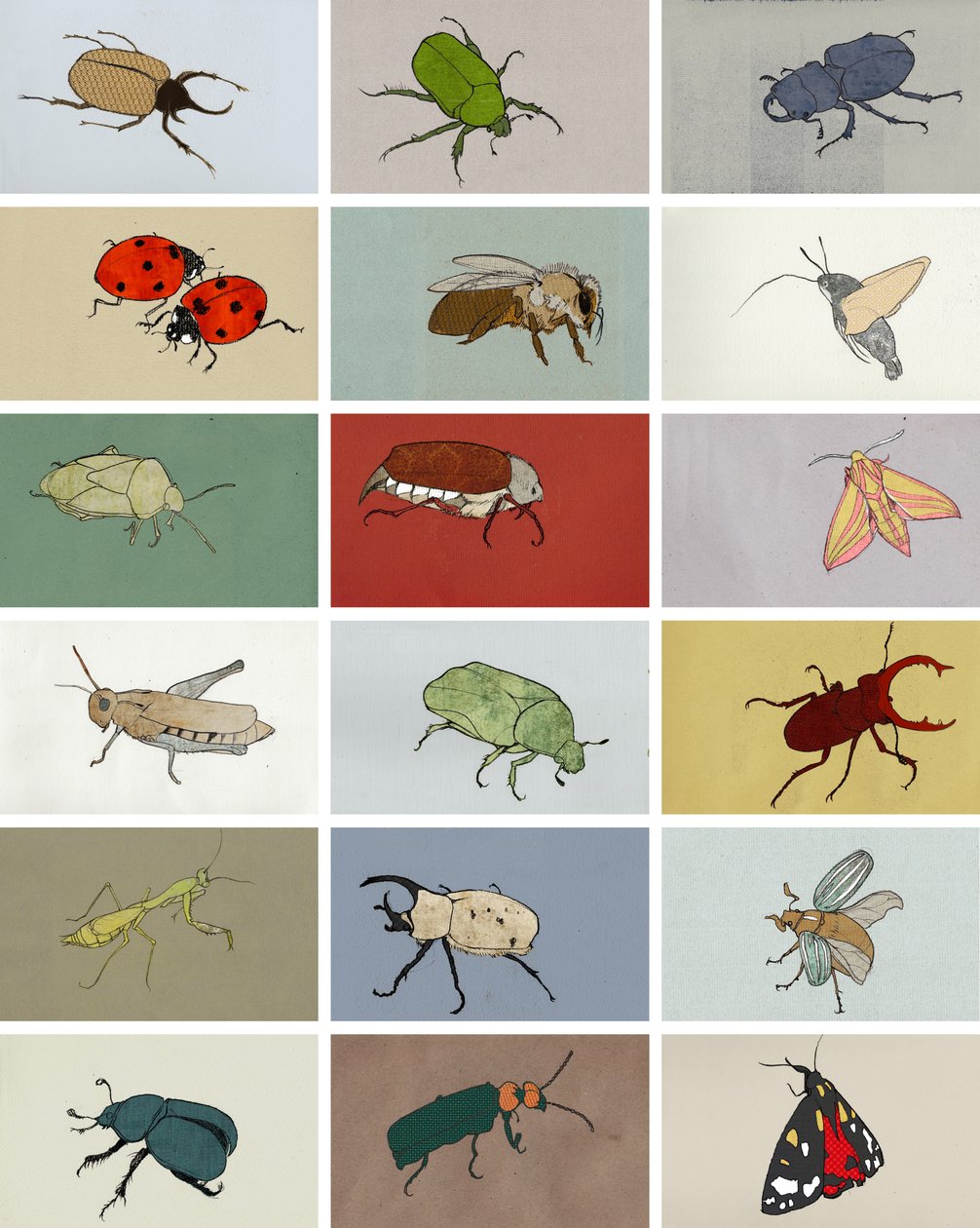 Insekter av Eliza Southwood
