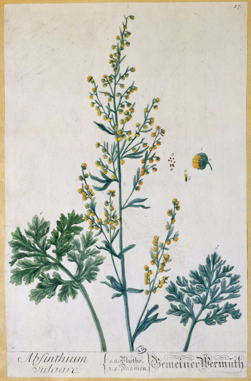 Absint, plate fra 