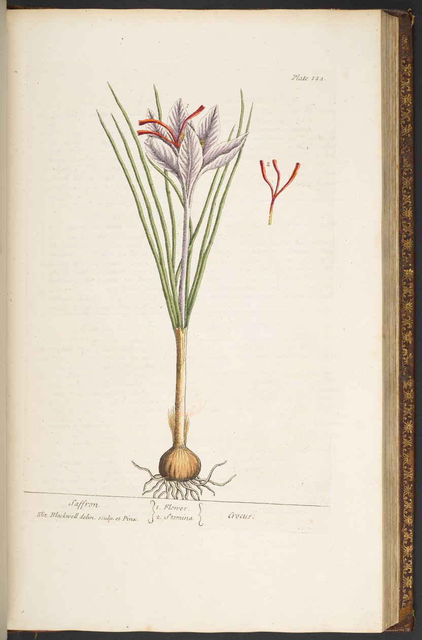 Tallerken 144, fra 