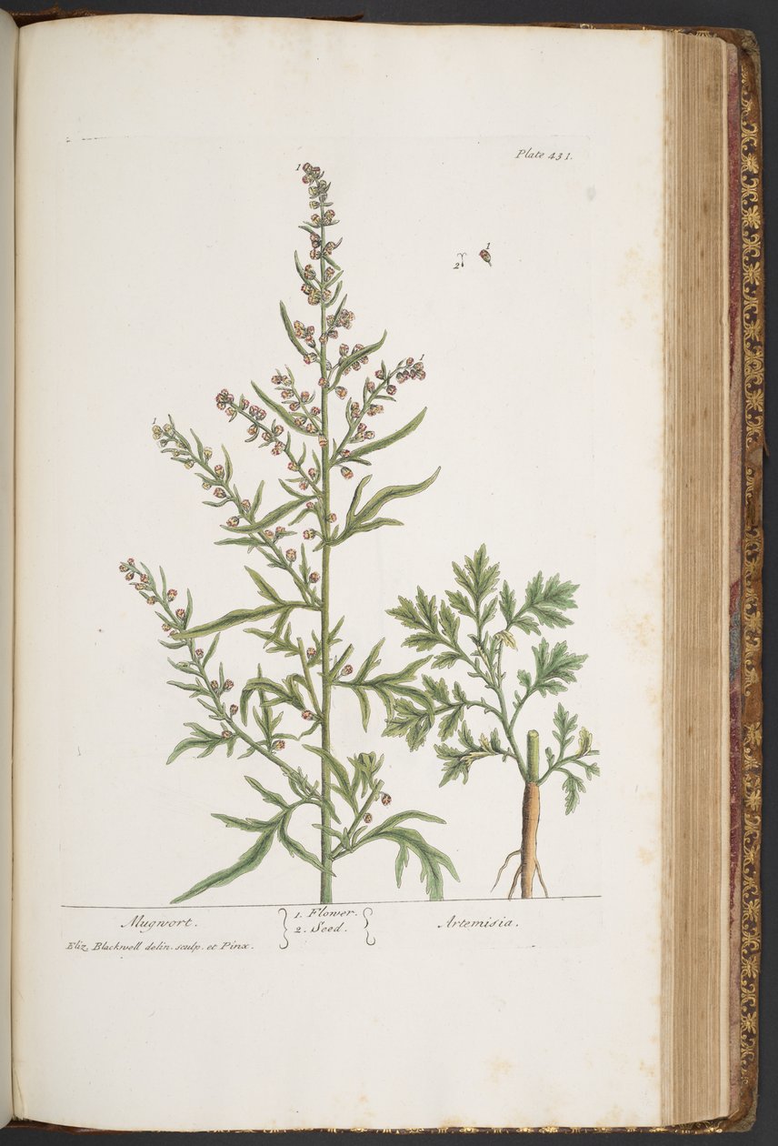 Tallerken 431, fra 