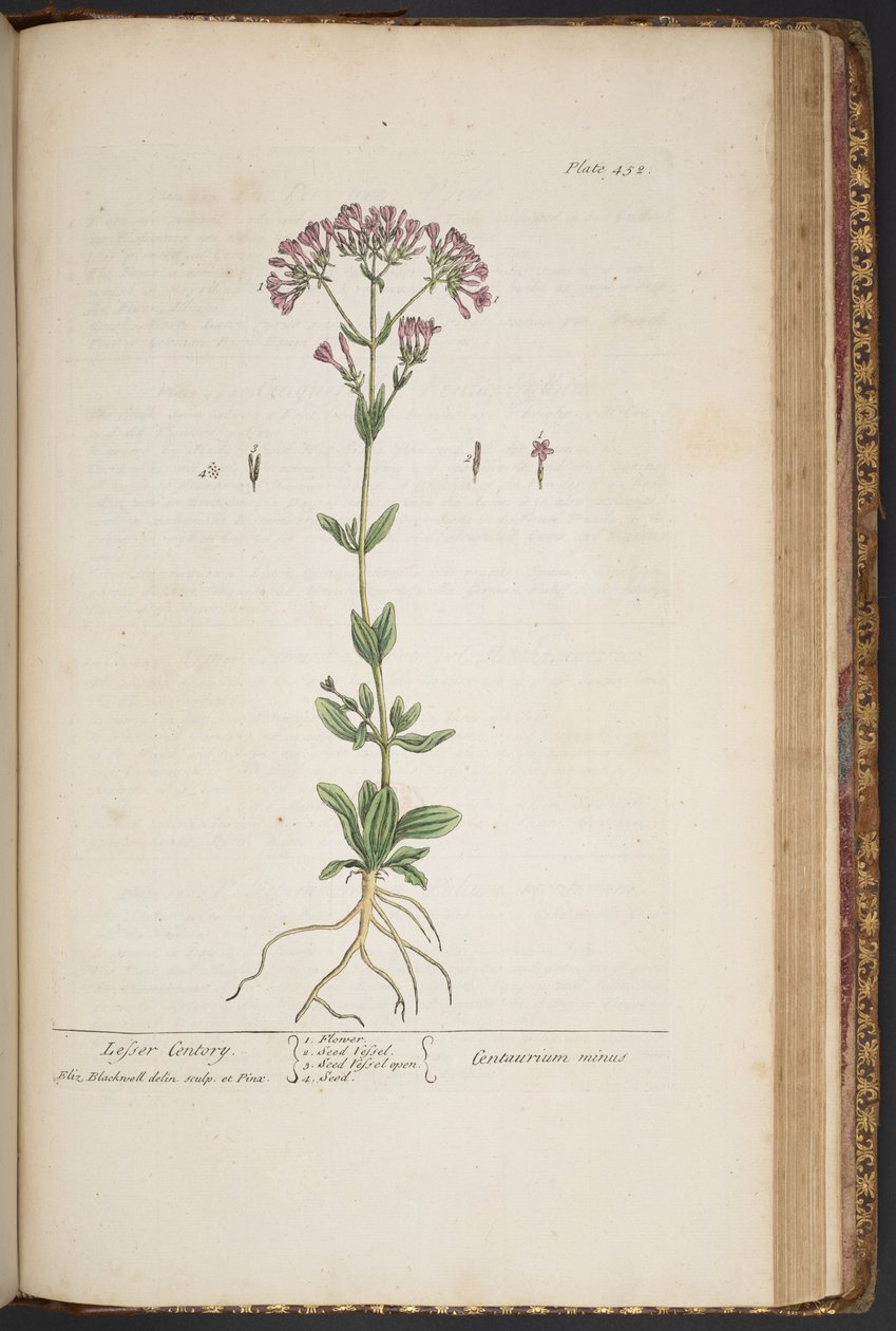 Tallerken 452, fra 