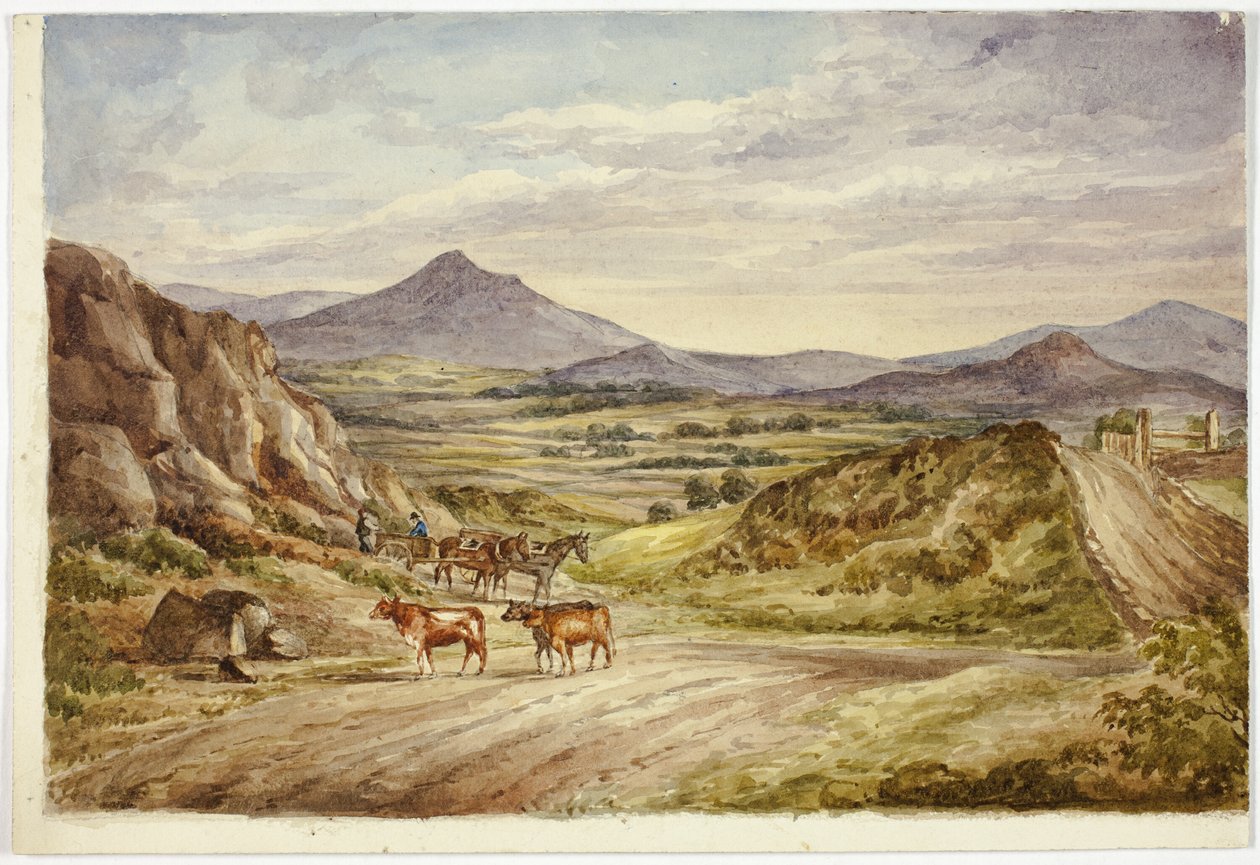 Wicklow Hills av Elizabeth Murray