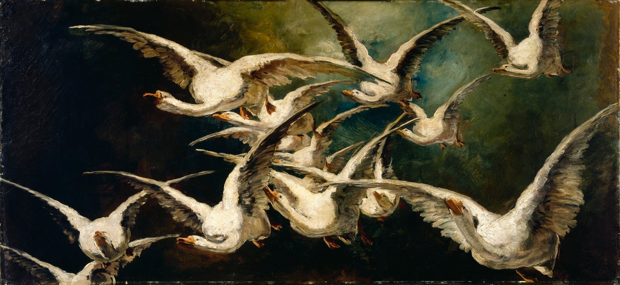  av Elizabeth Nourse