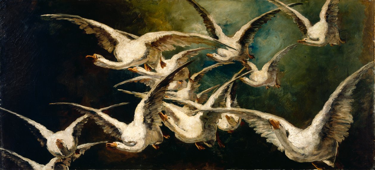 Gjessflokk, ca. 1883. av Elizabeth Nourse