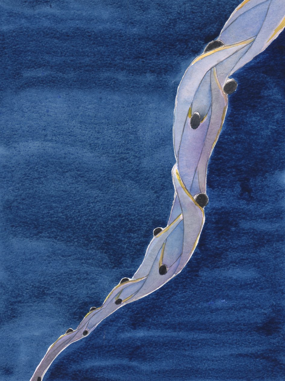 Våre forbønn for de hellige sjeler i skjærsilden, i Jesu navn, er som et tau som trekker dem mot himmelen, 2002 (w/c på papir) av Elizabeth Wang