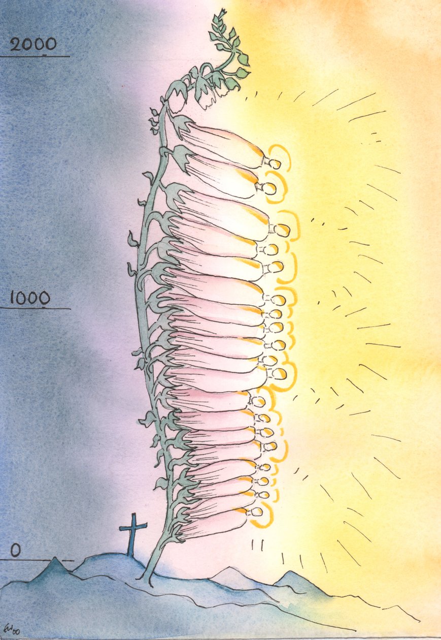 Kirken setter ut levende skudd av hellighet for å blomstre i alle tider, 2003 (w/c på papir) av Elizabeth Wang