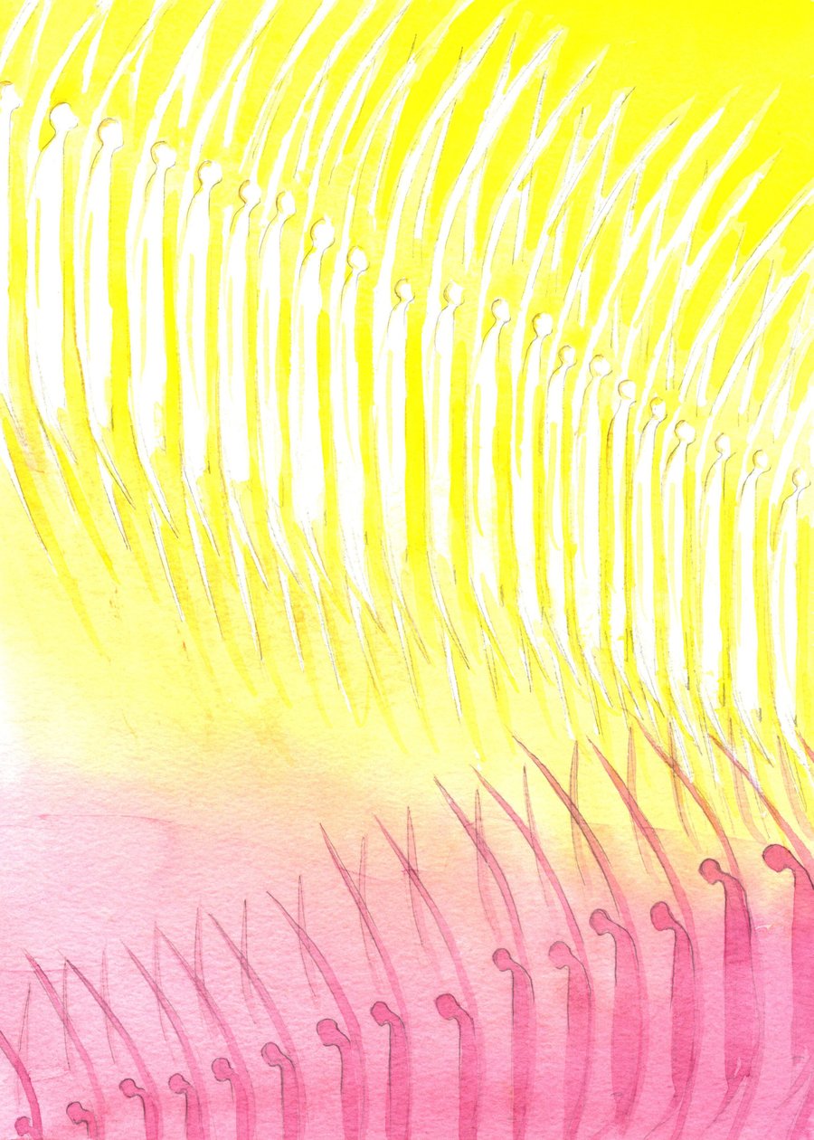 The Heavenly Host, 2001 (w/c på papir) av Elizabeth Wang