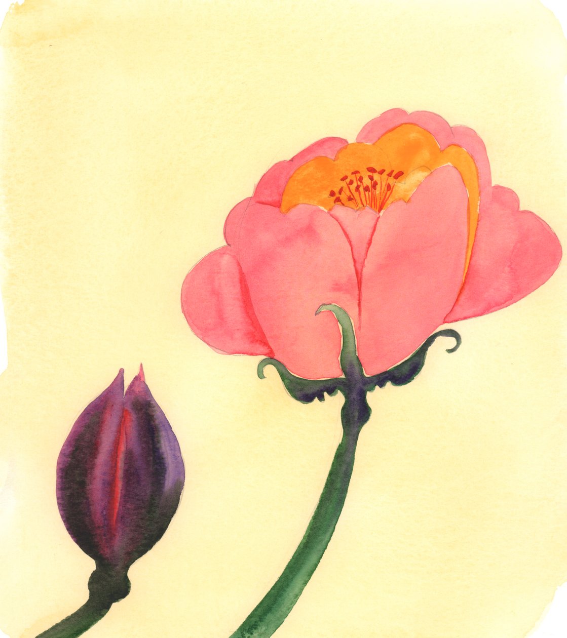  av Elizabeth Wang