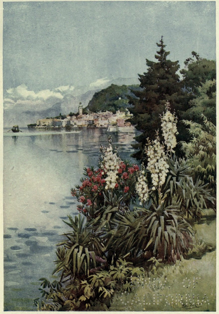 A Group of Yuccas, Villa Melzi, Lago di Como, illustrasjon fra 'The Italian lakes' av Richard Bagot av Ella Du Cane