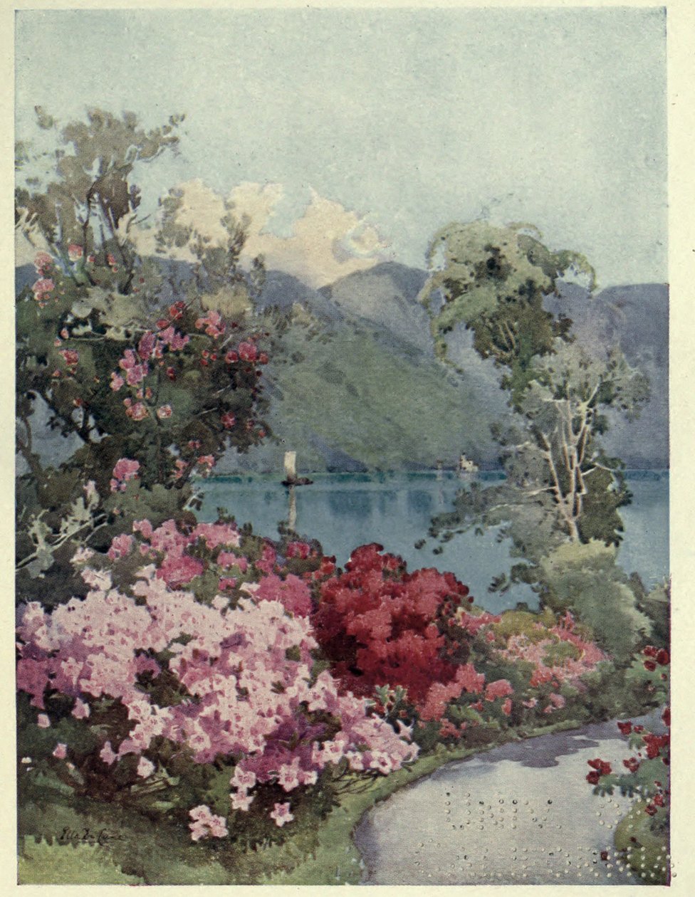 Azalea, Lago di Como, illustrasjon fra 