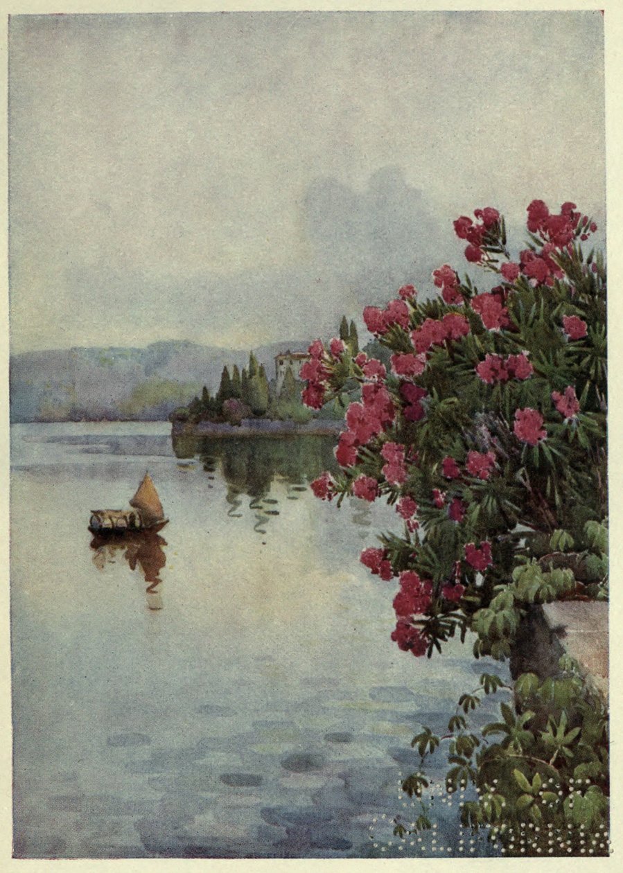 Oleanders, Lago di Como, Illustrasjon fra 