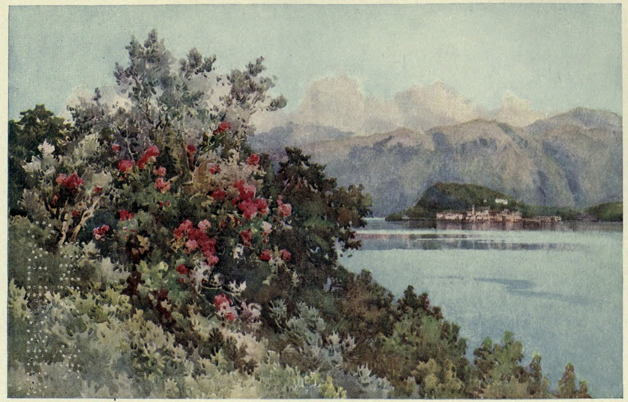 Roser, Villa Carlotta, Lago di Como, Illustrasjon fra 'De italienske innsjøene' av Richard Bagot av Ella Du Cane