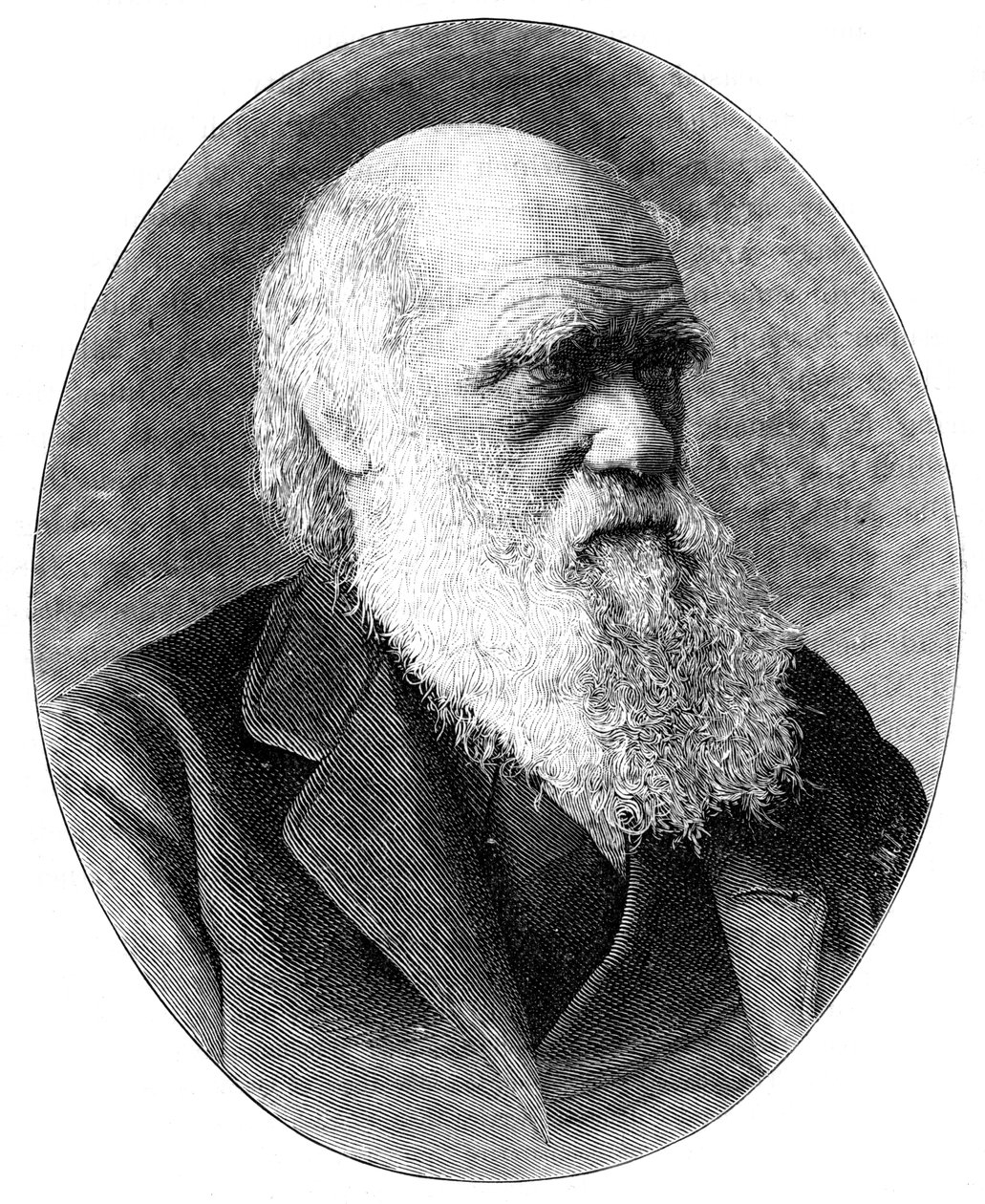 Charles Darwin, engelsk naturforsker fra 1800-tallet, 1900. av Elliott and Fry